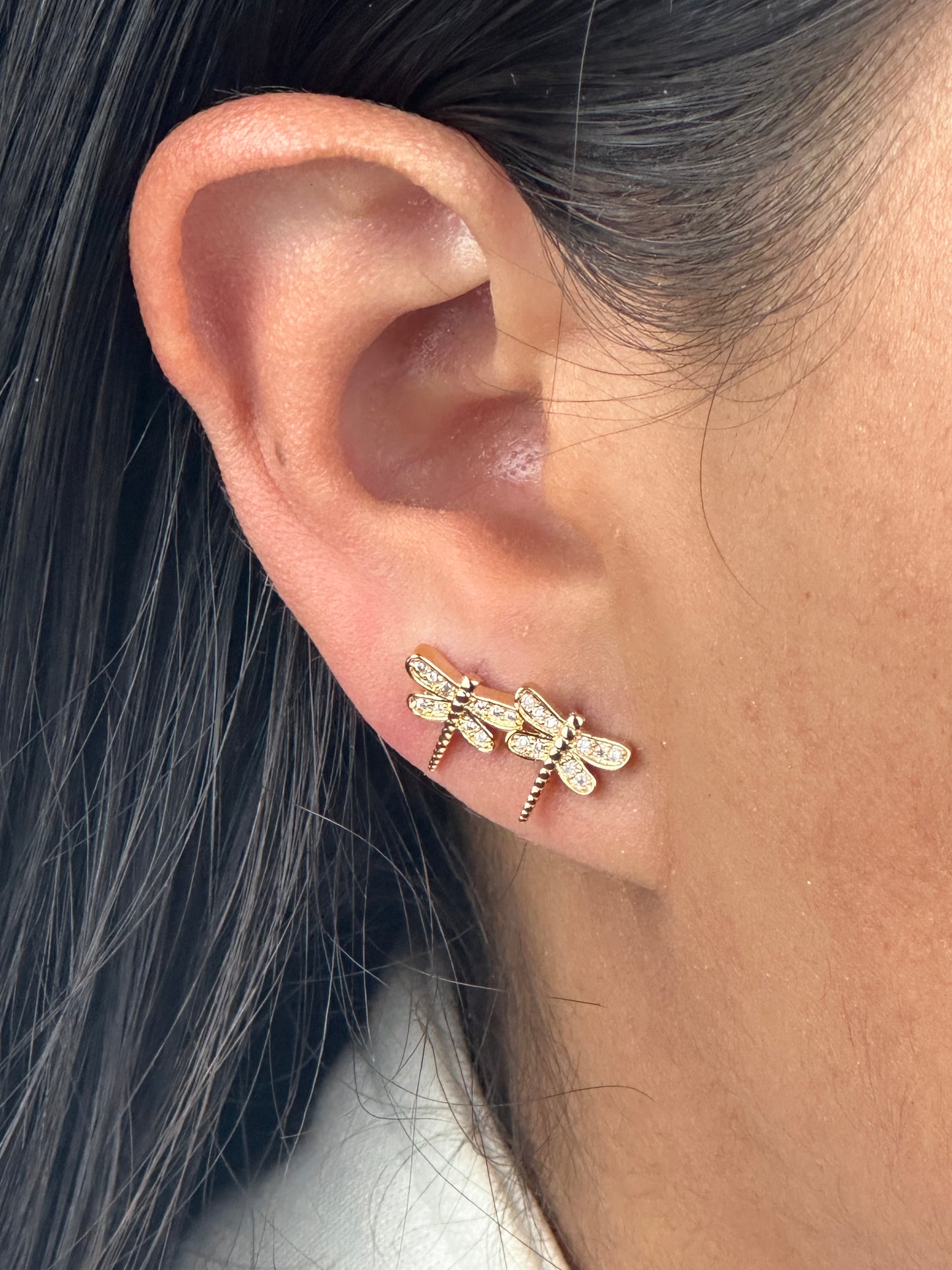 TOPOS LIBELULA MICROZIRCONES